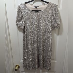 Cable & Gauge Silver Sequin Mini Dress